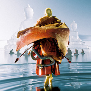 Fisting拳交妓女惨叫Fuck
