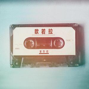 Fisting拳交妓女惨叫Fuck
